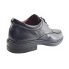 ZZ V25 33652 CORDERO NEGRO LUISETTI